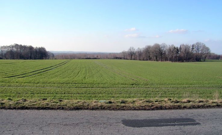 działka na sprzedaż - Lyski, Adamowice